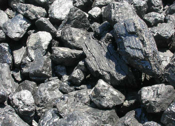 Правительство РФ отменило экспортные пошлины на уголь на 4 месяца